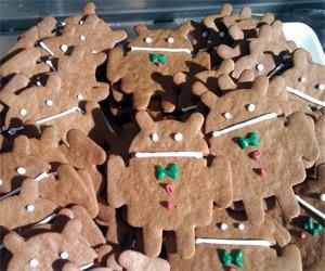 Gingerbread portovan na Samsung Galaxy S i na HTC HD2