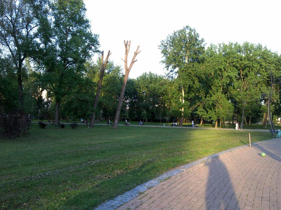 LG Prada fotografija po danu