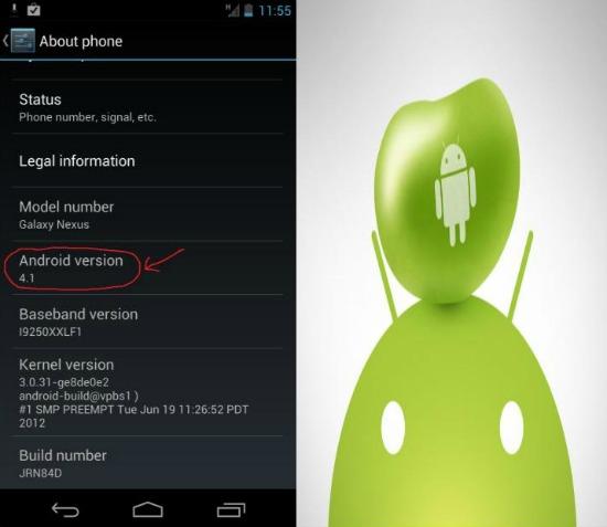 Instalirajte odmah Android 4.1 Jelly Bean OTA apdejt za rutovani Galaxy Nexus