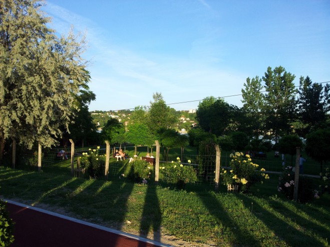 Fotografija dan 2