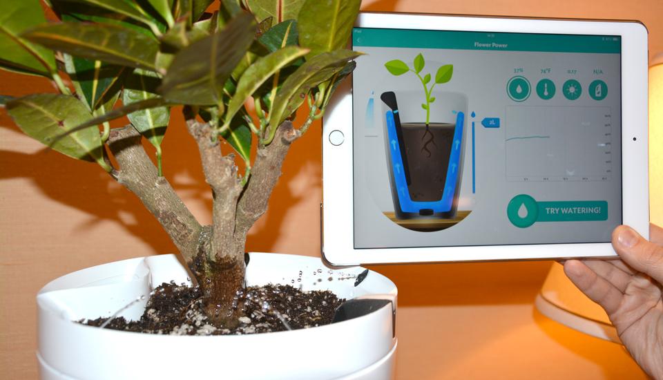 Parrot Pot saksija koja sama zaliva cveće :D #CES2015